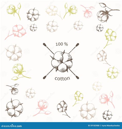 Illustrazione di cotone 100%
