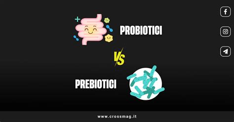 Schema dei prebiotici e probiotici nell'intestino