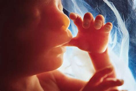 Bambino che succhia il pollice in utero