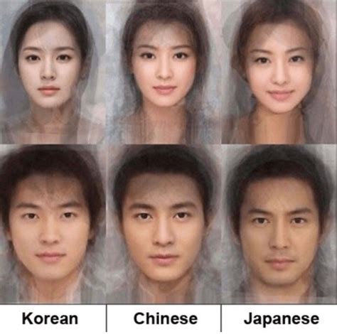 Illustrazione comparativa delle strutture facciali tipiche di giapponesi, coreani e cinesi