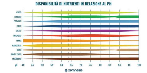 Schema che illustra la disponibilità dei nutrienti in funzione del pH