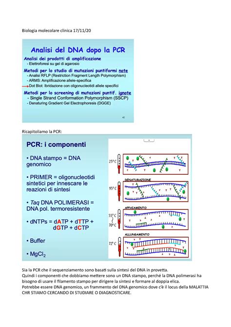 Schema comparativo tra analisi colturale e analisi molecolare (PCR)