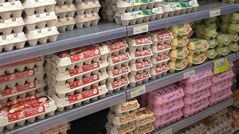 Uova al supermercato vs uova da cova