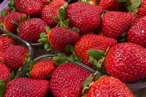 Galleria di diverse varietà di fragole