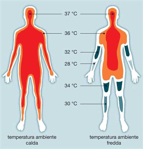 termometro che misura la temperatura corporea