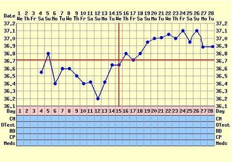 Grafico della temperatura basale e dei cambiamenti del muco cervicale