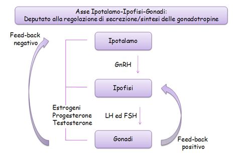 Diagramma delle cause dell'infertilità maschile (pre-testicolari, testicolari, post-testicolari)