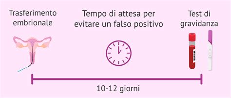 Coppia in attesa dopo il transfer embrionale