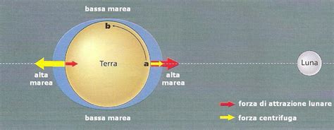schema grafico delle maree e l'influenza gravitazionale lunare