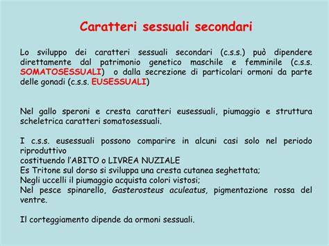 rappresentazione stilizzata dell'evoluzione biologica umana e lo sviluppo dei caratteri sessuali secondari