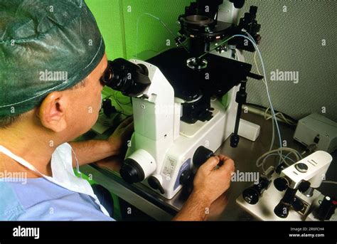 Microscopio e strumenti per l'inseminazione strumentale