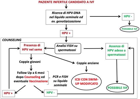 Grafico: Flusso di pazienti italiani per procreazione assistita all'estero
