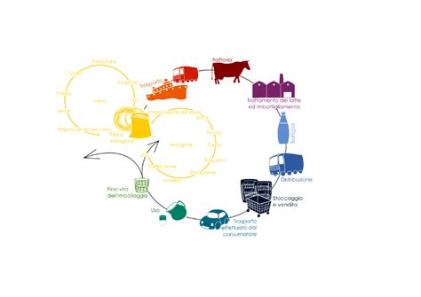 infografica che mostra la progressione del ciclo di vita del vitello e gli standard di benessere richiesti