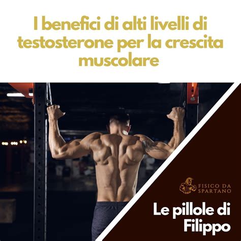 Infografica che illustra i benefici dell'esercizio fisico sui livelli di testosterone.