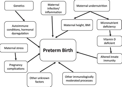 Diagram illustrating risk factors for premature birth