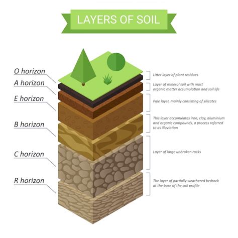 diagramma esplicativo degli strati del pannolino biodegradabile