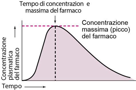 Grafico concentrazione plasmatica Augmentin