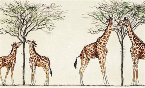 Grafico che illustra l'evoluzione normativa dell'indennità di maternità per le libere professioniste