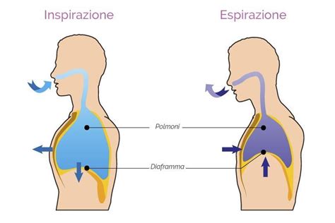 Effetti della respirazione orale