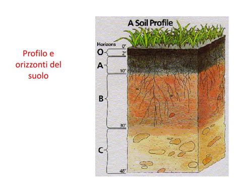 Diagramma degli orizzonti del suolo