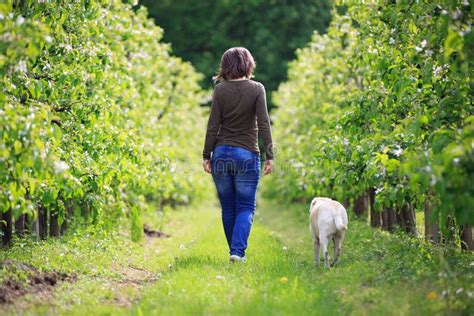 Donna incinta che passeggia con il cane