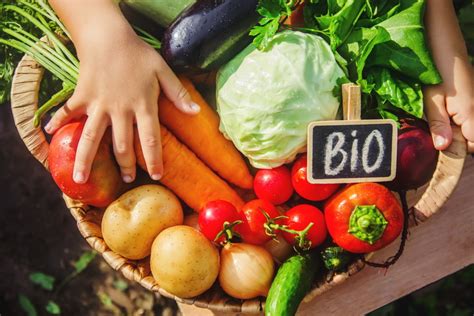 diverse forme e dimensioni di cibo per bambini