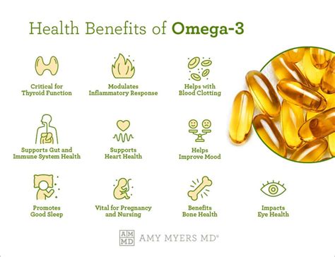 Graphic depicting walnuts and their nutritional components (Omega-3, Vitamin E, Selenium) and their benefits for egg quality and hormonal balance