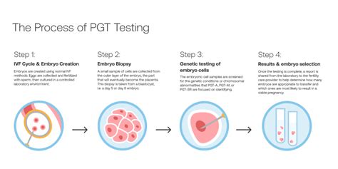IVF process with PGT