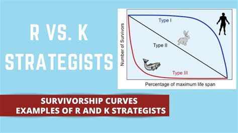 Diagramma strategia K vs R