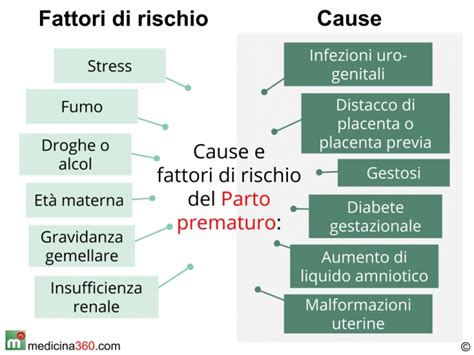Diagramma che illustra i fattori di rischio per il parto pretermine