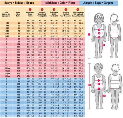 Infografica con un bambino stilizzato e una tabella delle taglie per età e altezza