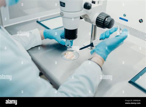Microscopio che osserva embrioni