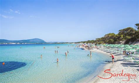 Panoramica di un campeggio sulla spiaggia vicino ad Alghero