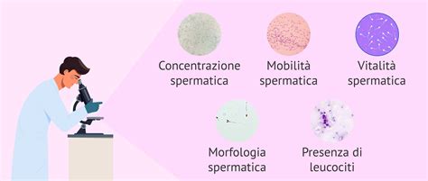 Parametri di valutazione dello sperma