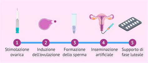Schema di Inseminazione Artificiale