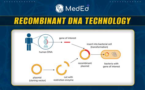 DNA editing and reproductive technologies