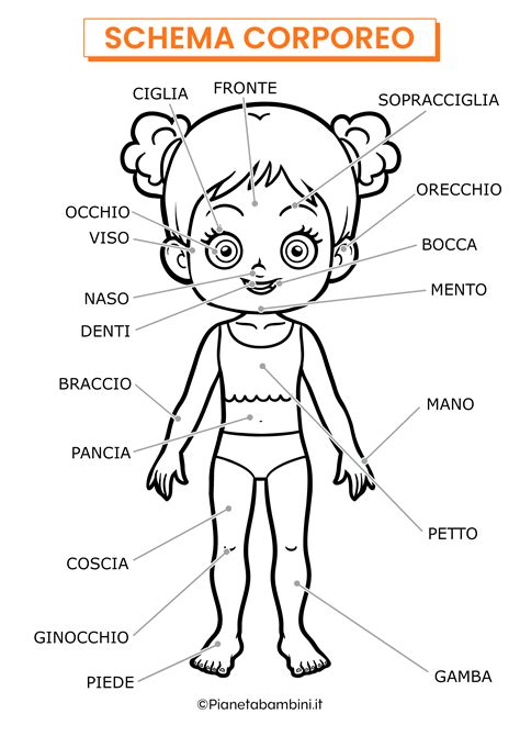 schema grafico dell'accrescimento corporeo e confronto tra stature normali e nanismo