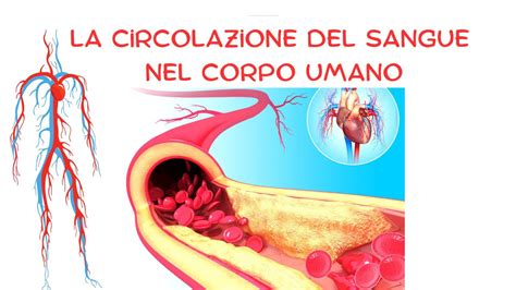 Simbolismo dell'unione: il sangue che crea nuova vita