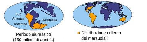 mappa della distribuzione geografica dei marsupiali nel mondo