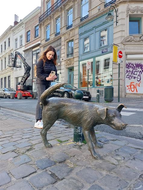 La statua di Zinneke Pis, il cane randagio che urina per strada