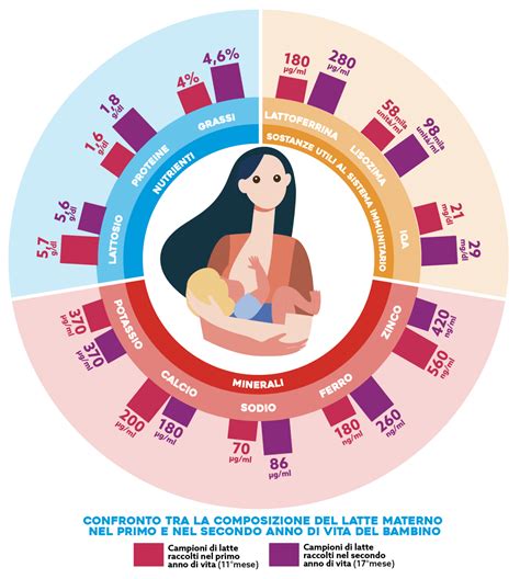Infografica sulla composizione del latte materno e i suoi benefici immunitari