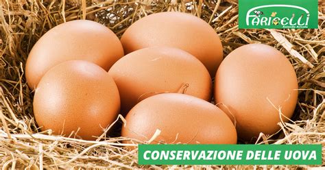 Uova di gallina in un portauova per conservazione