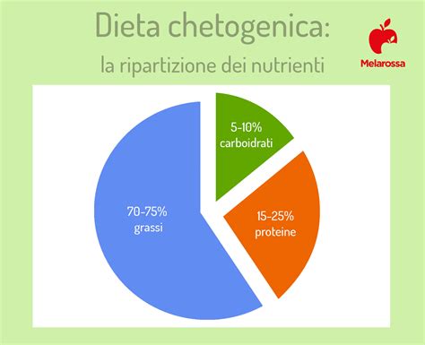 diagramma a torta che mostra la suddivisione dei nutrienti in un pasto equilibrato per lo svezzamento