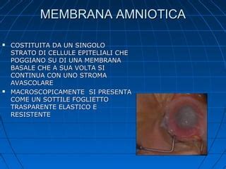 Applicazioni mediche della membrana amniotica