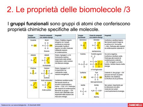 Infografica sulle molecole funzionali aggiunte alle formule per lattanti