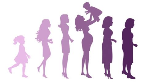 Fasi della vita della donna