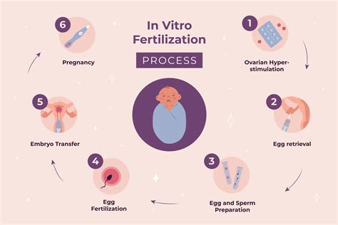 Diagram showing the decision-making process after a negative IVF result