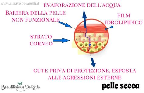 Pelle delicata del neonato e film idrolipidico