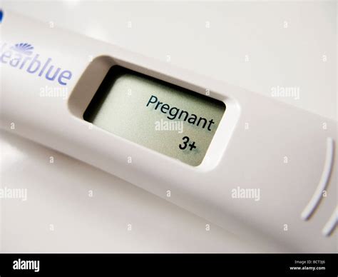 Digital pregnancy test showing result 