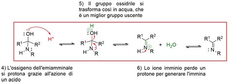 Meccanismi di formazione dell'idrope fetale